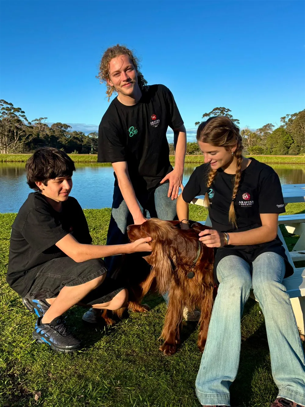 Aravina Estate is now a dog friendly venue
