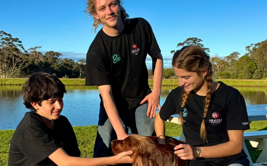 Aravina Estate is now a dog friendly venue